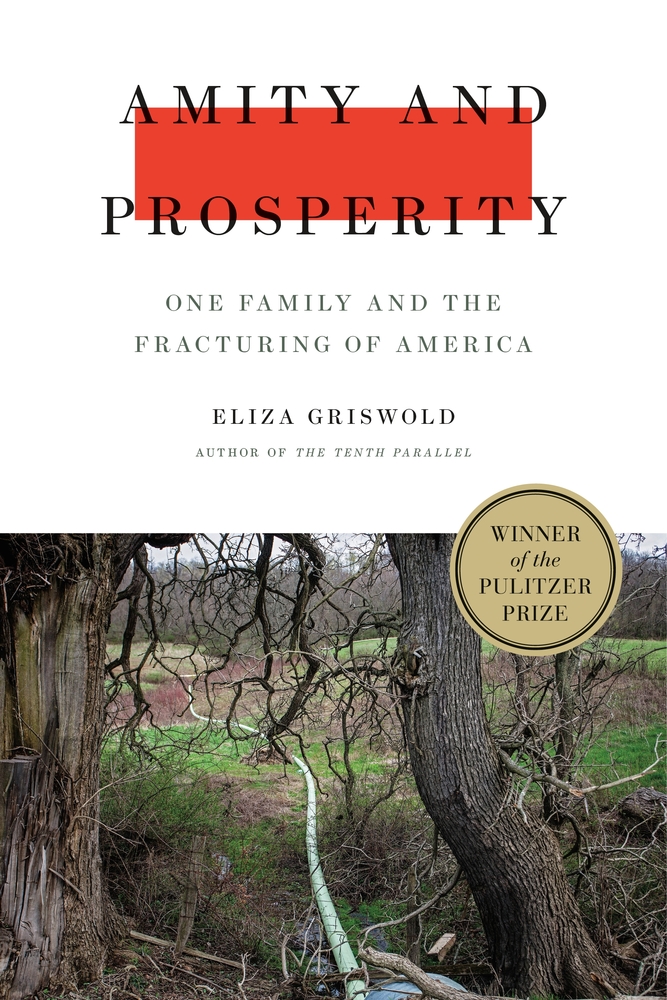 amity and prosperity book cover photo