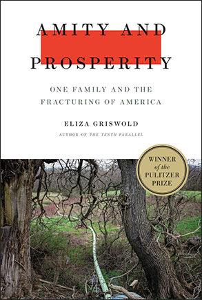 Amity & Prosperity book cover